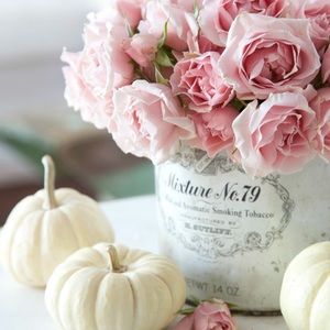 Meet your Posher, Antoinette